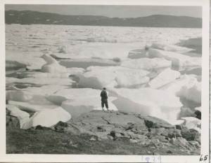 Image: Ice pack. Miriam MacMillan standing at edge